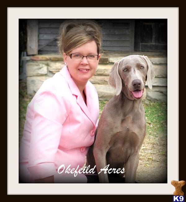 Okefeildacres Picture 3
