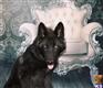 wolf dog puppy posted by azwolfdogs