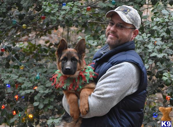 a person holding a german shepherd dog