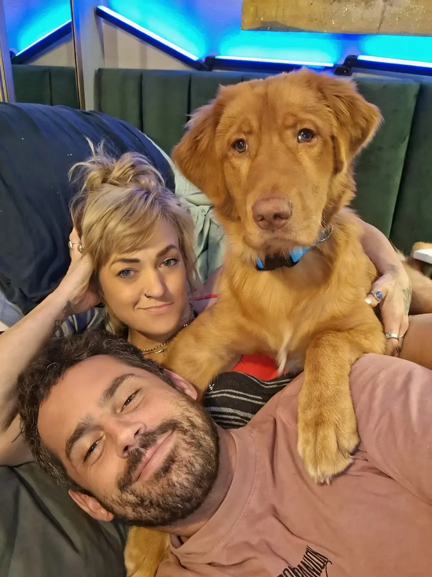 Mixed Breed stud dog: Golden mixed breed dog lounging with two people on a bed
