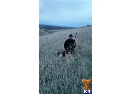 a man holding a gun in a field