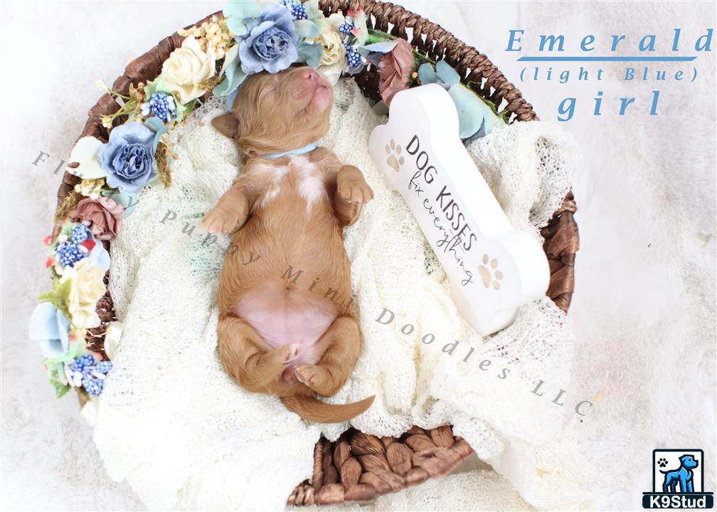 a baby in a crib