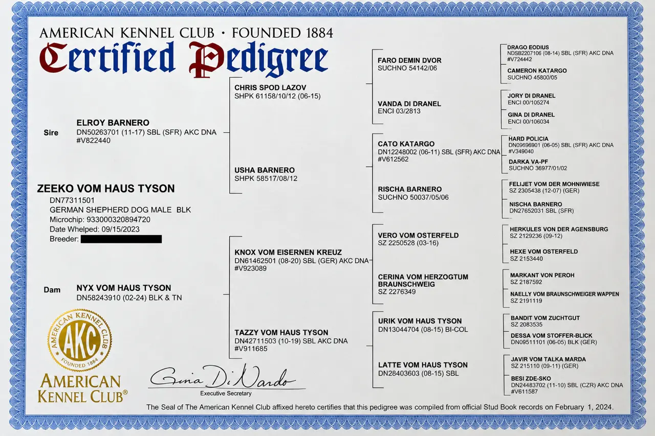 German Shepherd dog for sale: Certified pedigree document for a German Shepherd dog lineage