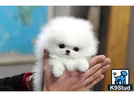 a person holding a small animal