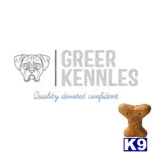 Boxer stud dog: text
