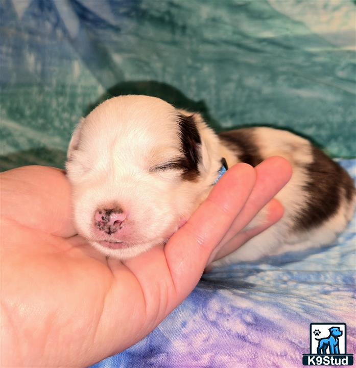 a baby being held by a hand