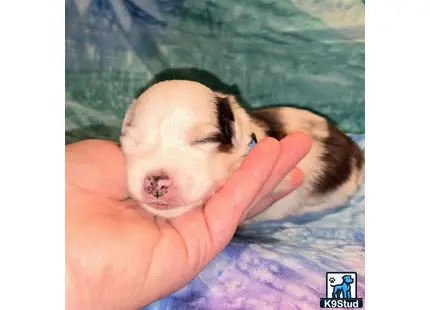 a baby being held by a hand