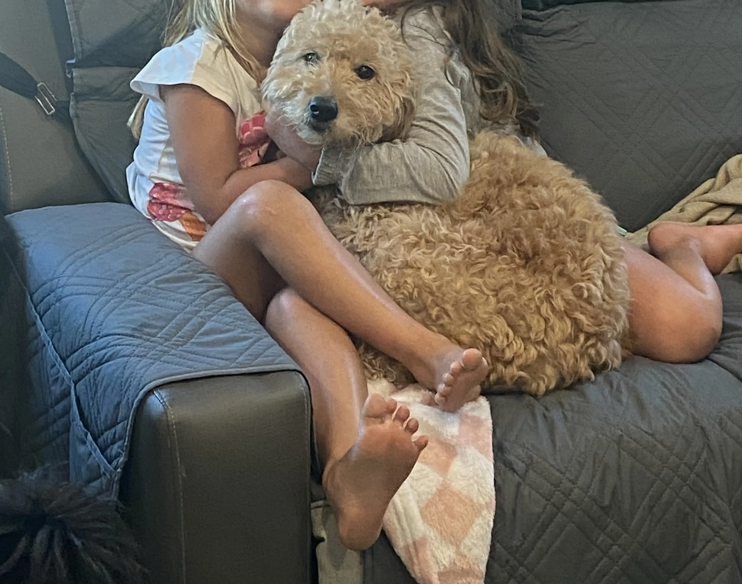 Goldendoodles female dog: Two children cuddling a fluffy goldendoodle on a couch