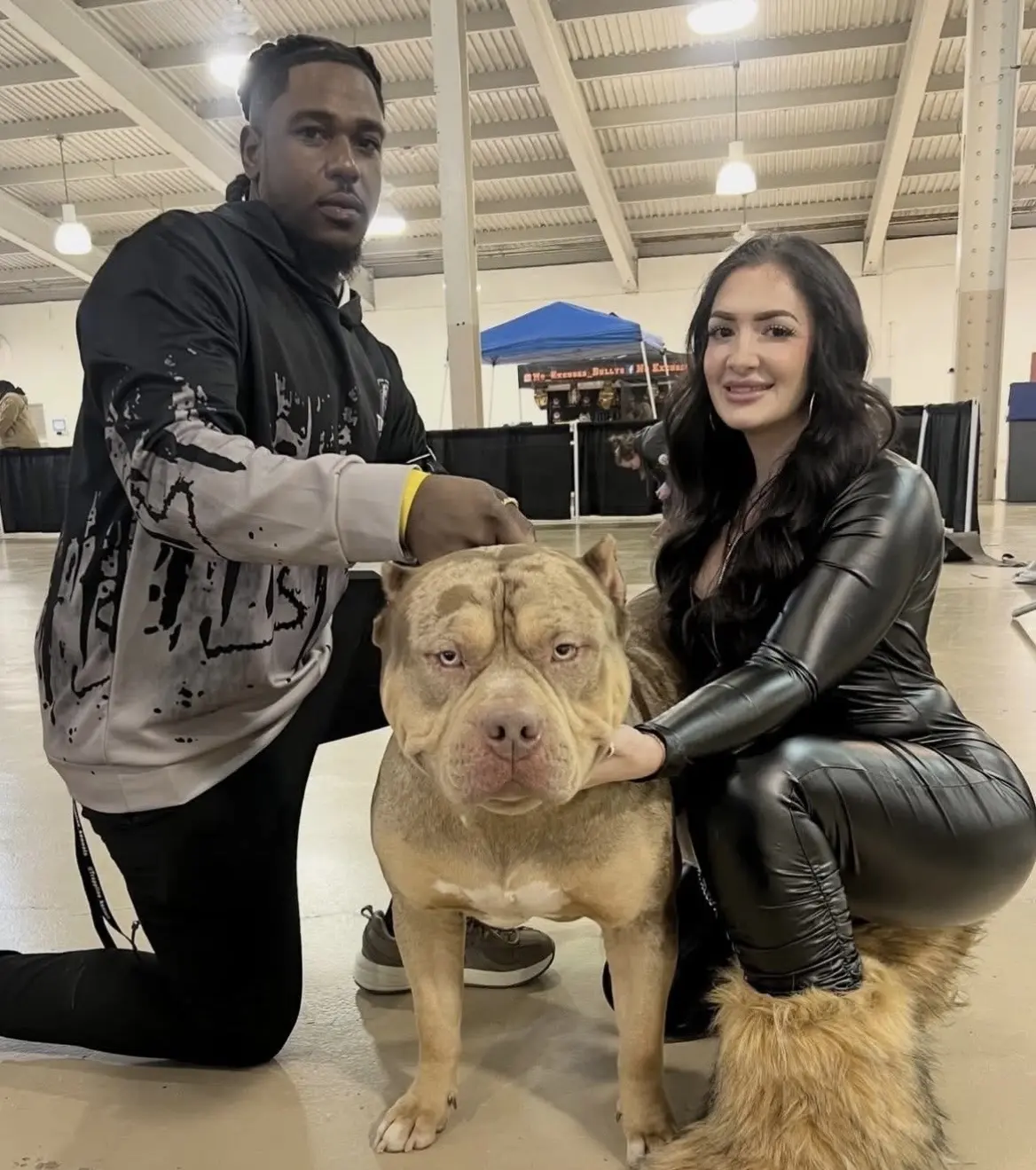American Bully stud dog: Tan American Bully sitting between a man and a woman indoors