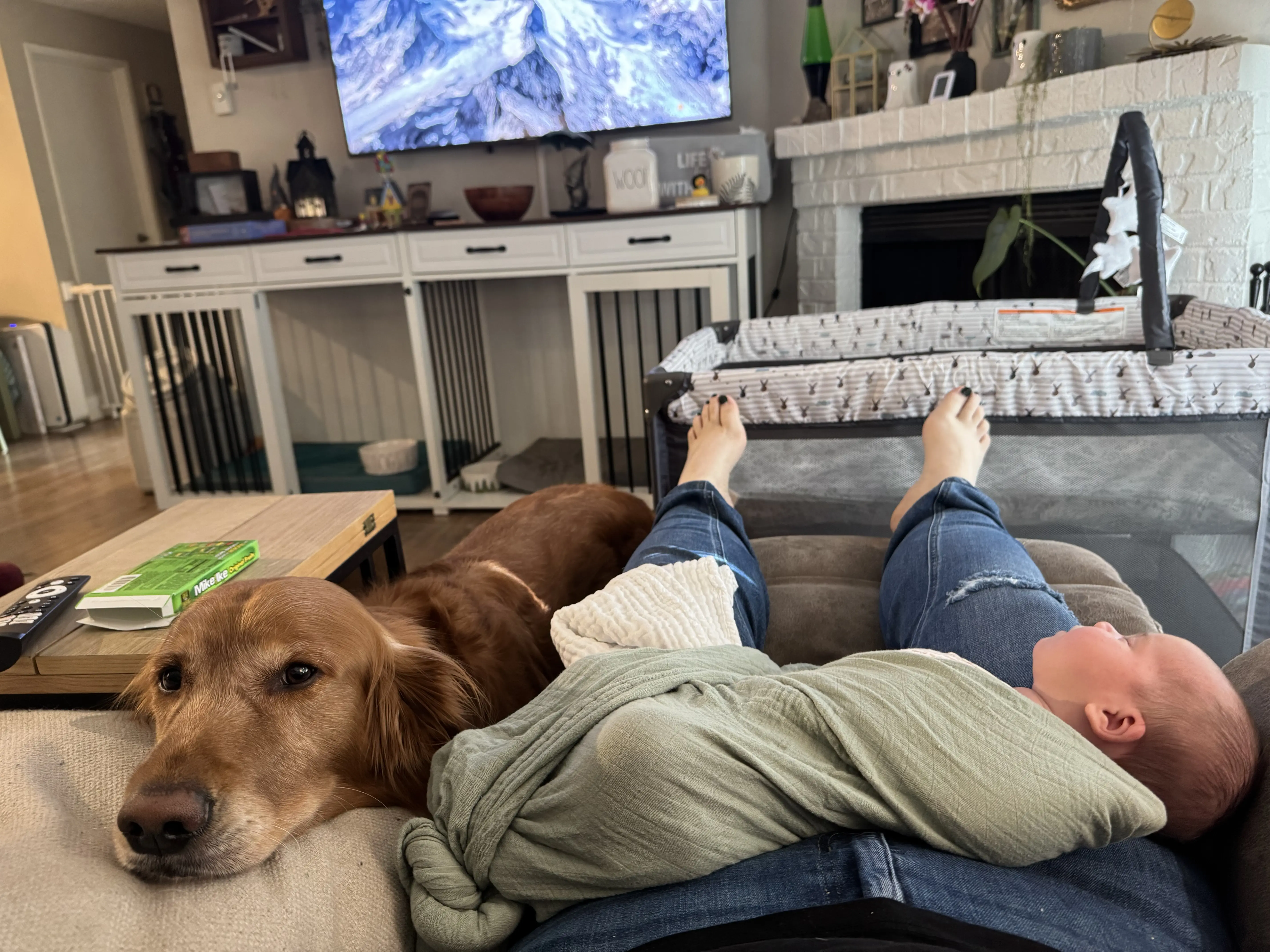 Golden Retriever stud dog: Golden Retriever lying beside a person with a baby swaddled