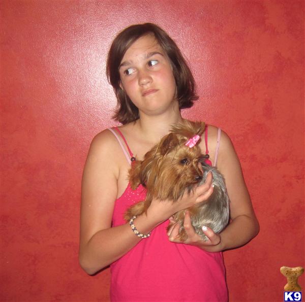 jordanfamilykennels Picture 1