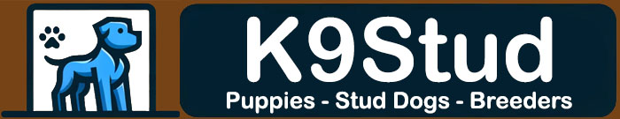 K9Stud Logo