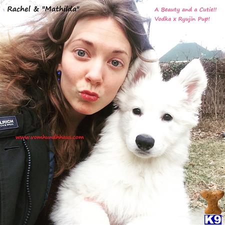 a person taking a selfie with a white swiss shepherd dog