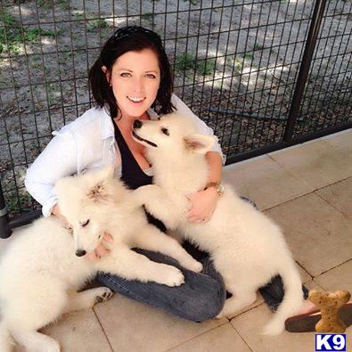 a woman holding a group of cats
