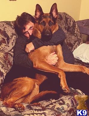 a person holding a german shepherd dog
