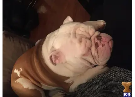 a baby sleeping on a person