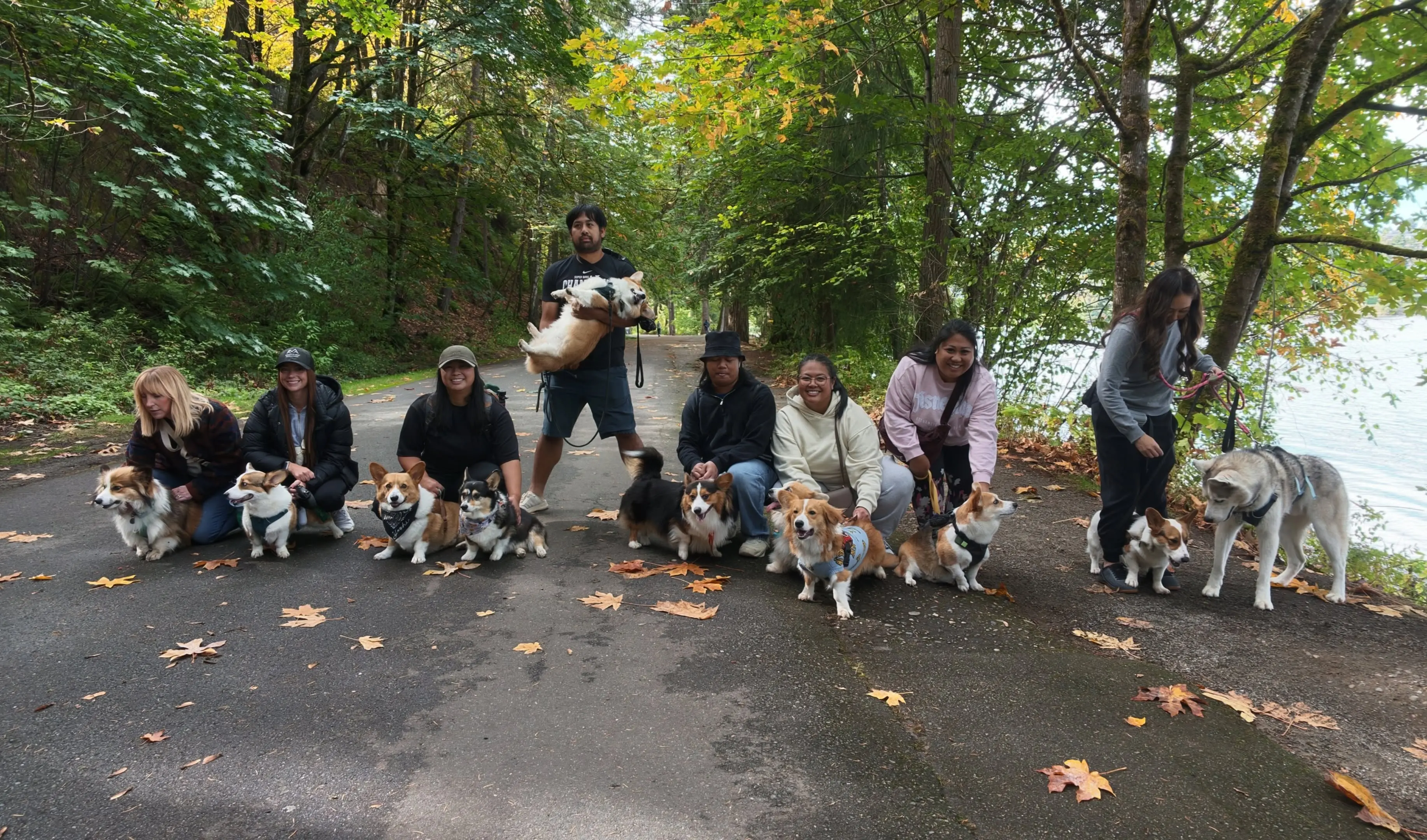 Pembroke Welsh Corgi puppy for sale: Group of Pembroke Welsh Corgis and people in a forested setting