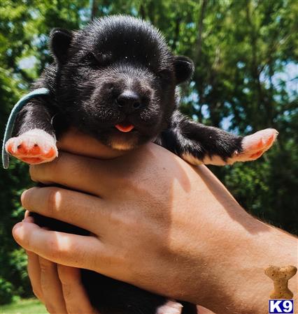 a person holding a small animal