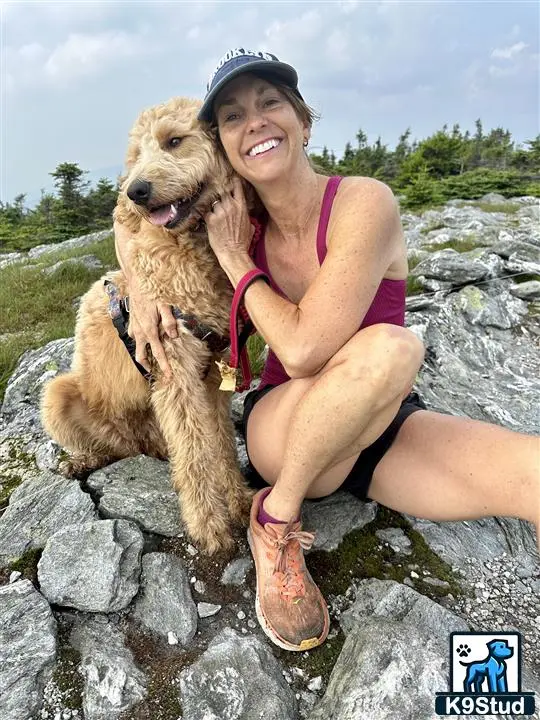 Goldendoodles female dog: Smiling woman sitting with a fluffy goldendoodle on rocky terrain