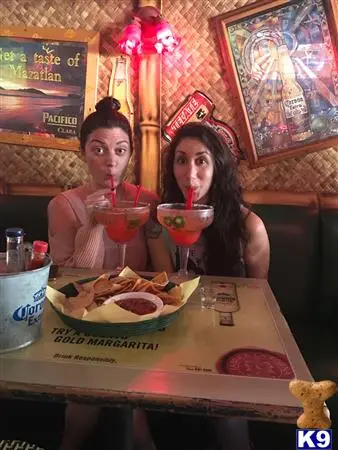 Australian Shepherd female dog: Two women enjoying colorful cocktails with nachos in a lively setting