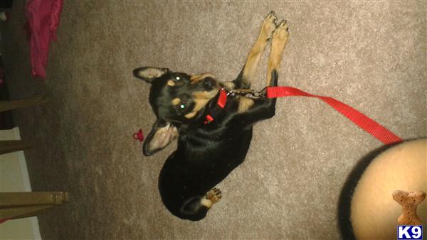 shawannaaaaa Picture 2