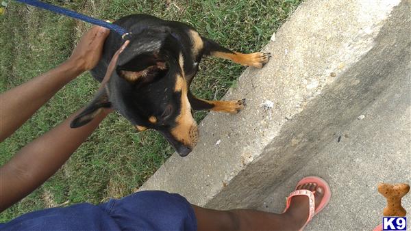 shawannaaaaa Picture 3