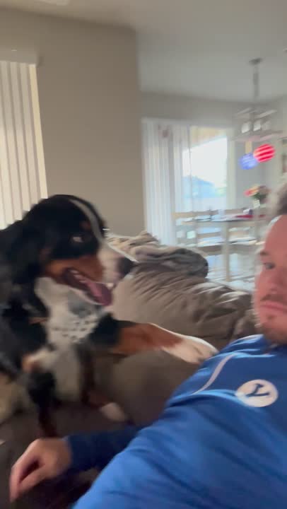 Bernese Mountain Dog stud dog: Error: Operation returned an invalid status code BadRequest<br/>Stack Trace:    at Microsoft.Azure.CognitiveServices.Vision.ComputerVision.ComputerVisionClient.<DescribeImageInStreamWithHttpMessagesAsync>d__41.MoveNext()
--- End of stack t