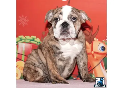 Error: Operation returned an invalid status code 429<br/>Stack Trace:    at Microsoft.Azure.CognitiveServices.Vision.ComputerVision.ComputerVisionClient.<DescribeImageInStreamWithHttpMessagesAsync>d__41.MoveNext()
--- End of stack trace from previous location where exception was thrown ---
   at System.Runtime.ExceptionServices.ExceptionDispatchInfo.Throw()
   at System.Runtime.CompilerServices.TaskAwaiter.HandleNonSuccessAndDebugger