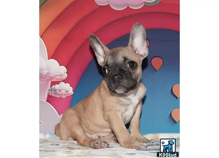 Error: Operation returned an invalid status code 429<br/>Stack Trace:    at Microsoft.Azure.CognitiveServices.Vision.ComputerVision.ComputerVisionClient.<DescribeImageInStreamWithHttpMessagesAsync>d__41.MoveNext()
--- End of stack trace from previous location where exception was thrown ---
   at System.Runtime.ExceptionServices.ExceptionDispatchInfo.Throw()
   at System.Runtime.CompilerServices.TaskAwaiter.HandleNonSuccessAndDebugger