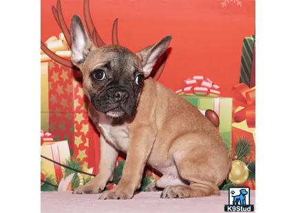 Error: Operation returned an invalid status code 429<br/>Stack Trace:    at Microsoft.Azure.CognitiveServices.Vision.ComputerVision.ComputerVisionClient.<DescribeImageInStreamWithHttpMessagesAsync>d__41.MoveNext()
--- End of stack trace from previous location where exception was thrown ---
   at System.Runtime.ExceptionServices.ExceptionDispatchInfo.Throw()
   at System.Runtime.CompilerServices.TaskAwaiter.HandleNonSuccessAndDebugger