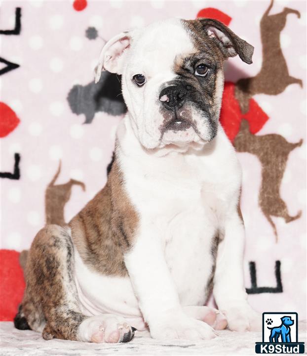 Error: Operation returned an invalid status code 429<br/>Stack Trace:    at Microsoft.Azure.CognitiveServices.Vision.ComputerVision.ComputerVisionClient.<DescribeImageInStreamWithHttpMessagesAsync>d__41.MoveNext()
--- End of stack trace from previous location where exception was thrown ---
   at System.Runtime.ExceptionServices.ExceptionDispatchInfo.Throw()
   at System.Runtime.CompilerServices.TaskAwaiter.HandleNonSuccessAndDebugger