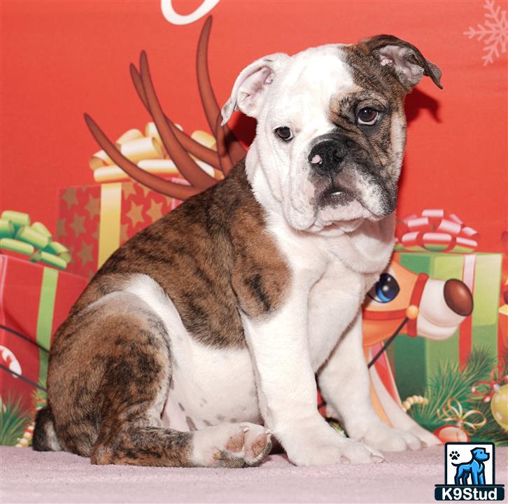 Error: Operation returned an invalid status code 429<br/>Stack Trace:    at Microsoft.Azure.CognitiveServices.Vision.ComputerVision.ComputerVisionClient.<DescribeImageInStreamWithHttpMessagesAsync>d__41.MoveNext()
--- End of stack trace from previous location where exception was thrown ---
   at System.Runtime.ExceptionServices.ExceptionDispatchInfo.Throw()
   at System.Runtime.CompilerServices.TaskAwaiter.HandleNonSuccessAndDebugger