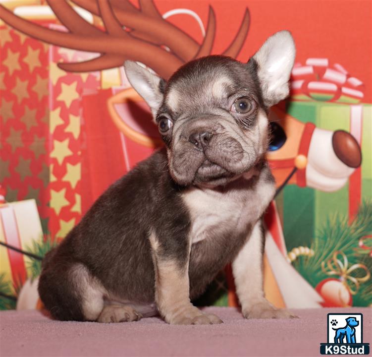 Error: Operation returned an invalid status code 429<br/>Stack Trace:    at Microsoft.Azure.CognitiveServices.Vision.ComputerVision.ComputerVisionClient.<DescribeImageInStreamWithHttpMessagesAsync>d__41.MoveNext()
--- End of stack trace from previous location where exception was thrown ---
   at System.Runtime.ExceptionServices.ExceptionDispatchInfo.Throw()
   at System.Runtime.CompilerServices.TaskAwaiter.HandleNonSuccessAndDebugger