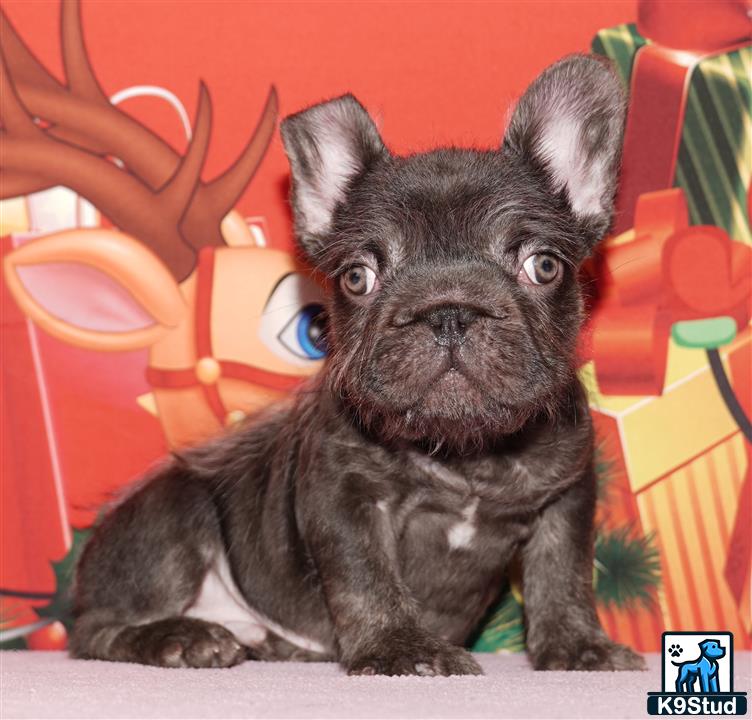 Error: Operation returned an invalid status code 429<br/>Stack Trace:    at Microsoft.Azure.CognitiveServices.Vision.ComputerVision.ComputerVisionClient.<DescribeImageInStreamWithHttpMessagesAsync>d__41.MoveNext()
--- End of stack trace from previous location where exception was thrown ---
   at System.Runtime.ExceptionServices.ExceptionDispatchInfo.Throw()
   at System.Runtime.CompilerServices.TaskAwaiter.HandleNonSuccessAndDebugger