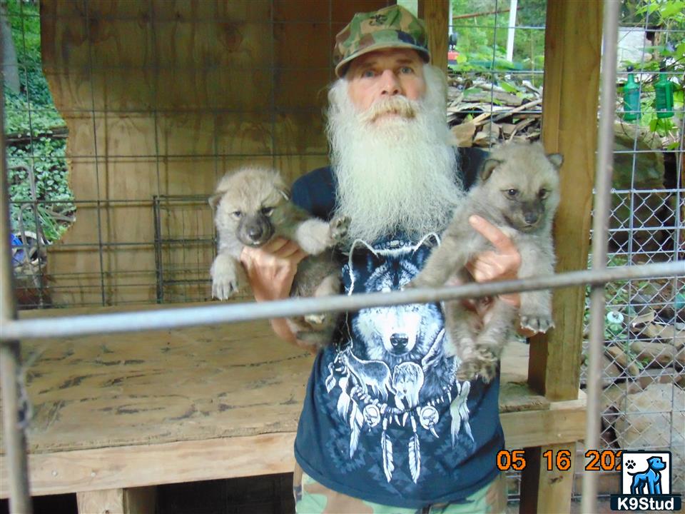 a person holding two animals
