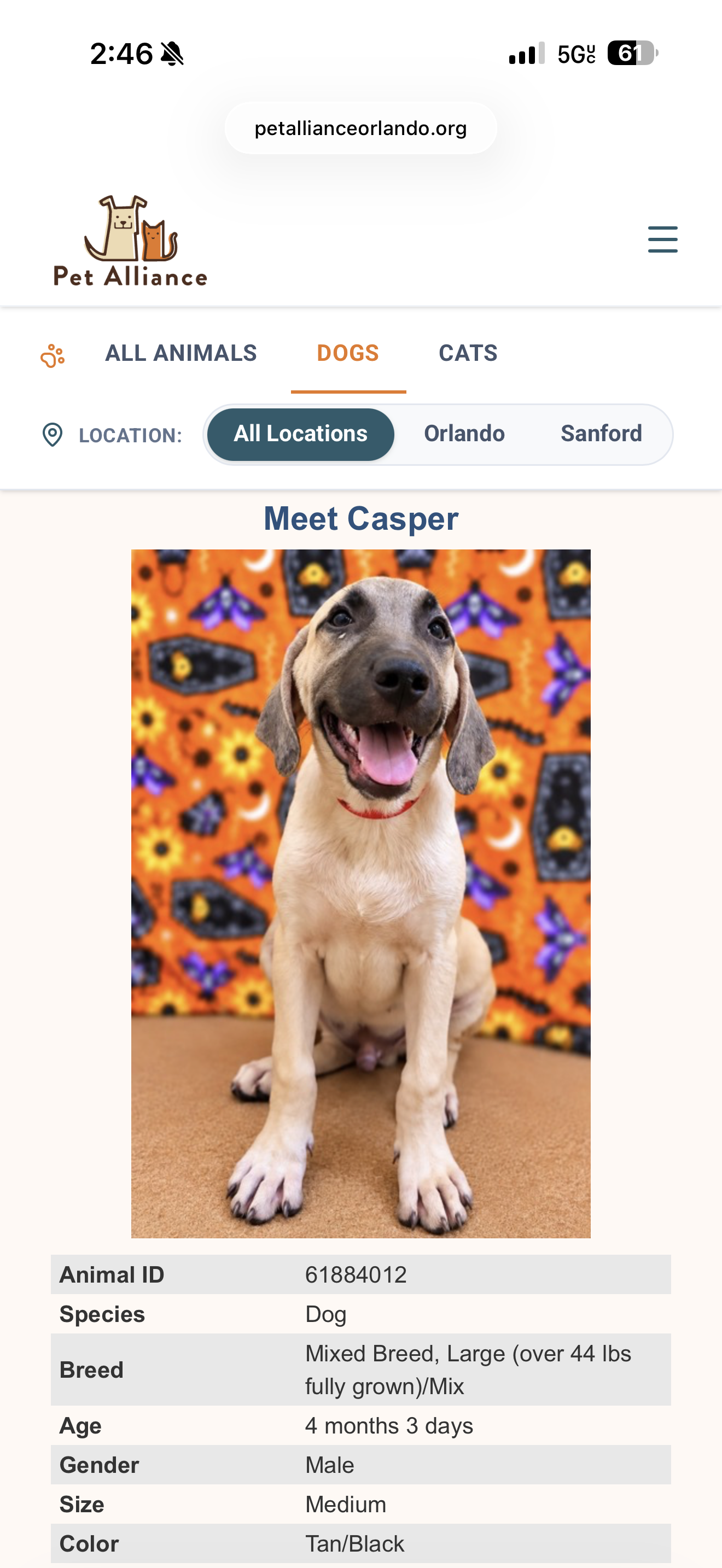 web site, website, internet site, site dog, identified by the K9Stud breed AI