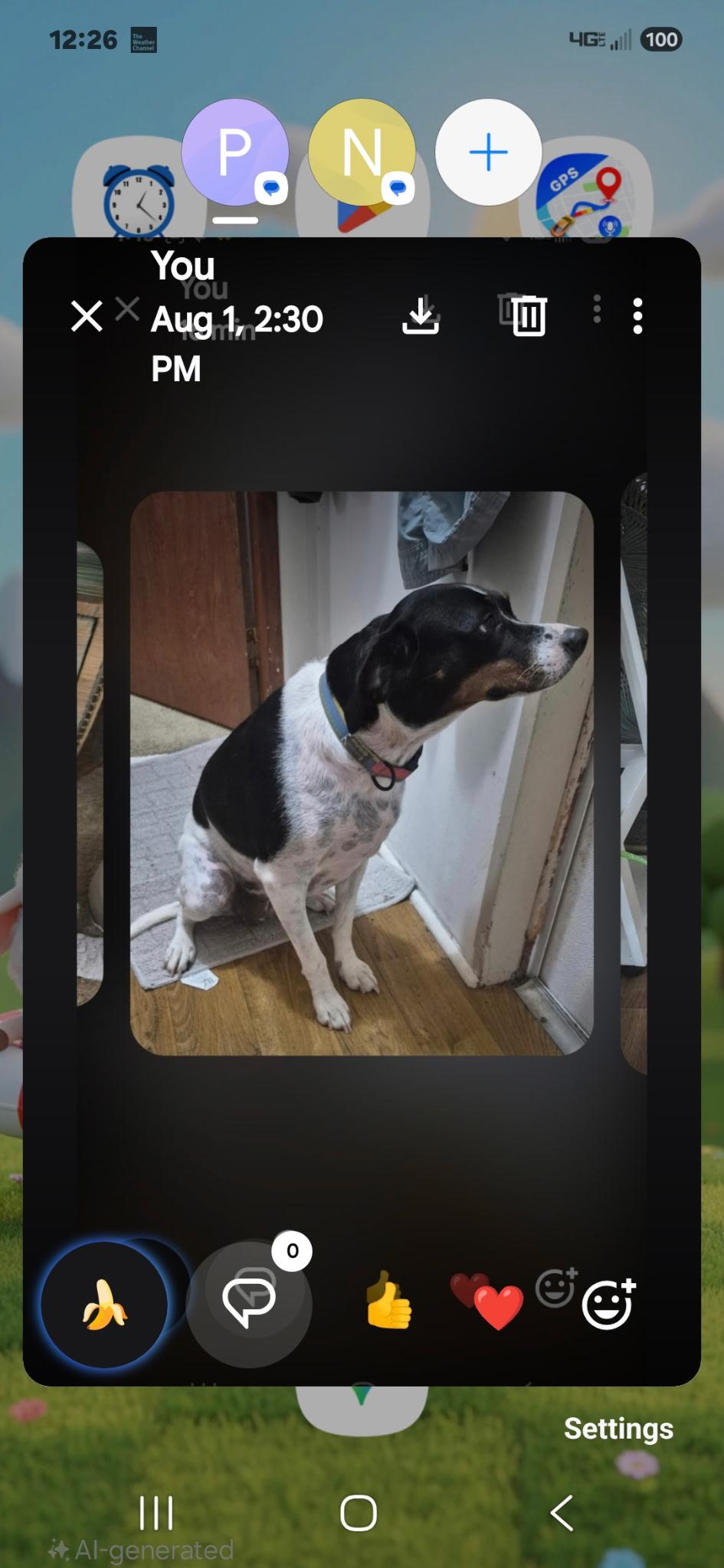 web site, website, internet site, site dog, identified by the K9Stud breed AI