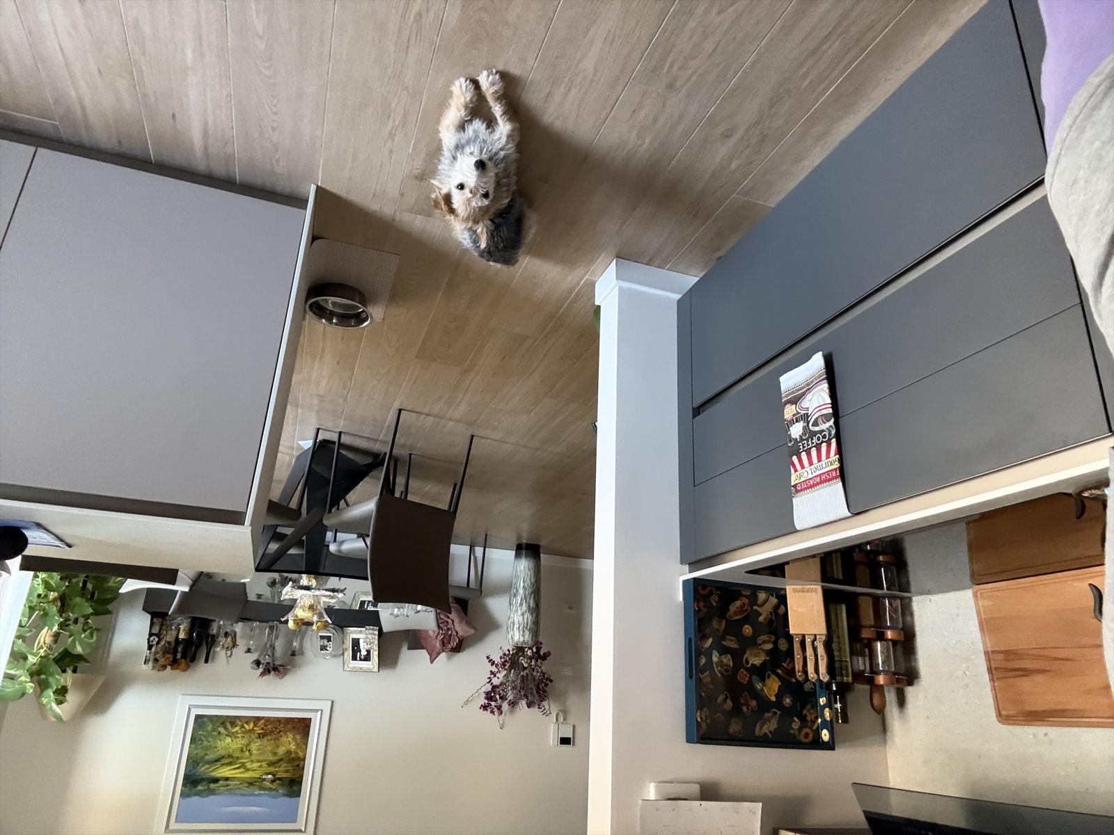 medicine chest, medicine cabinet guessed by k9stud ai